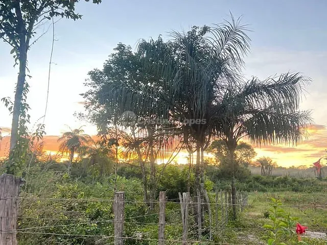 Terreno com 76000m², à venda, no bairro zona Rural Leste em Teresina