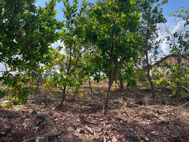 Terreno com 300m², à venda, no bairro Parque Residencial Tropical Ville em Cuiabá