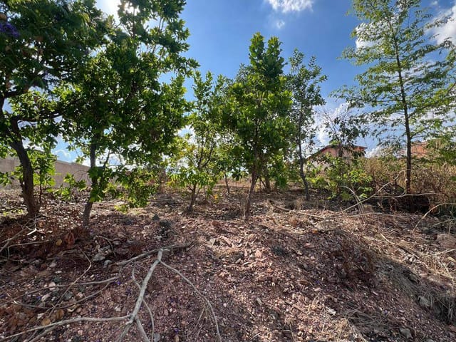 Terreno com 300m², à venda, no bairro Parque Residencial Tropical Ville em Cuiabá