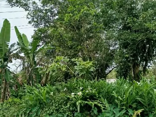 Terreno com 360m², à venda, no bairro Boracéia em São Sebastião