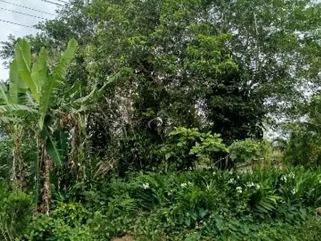 Terreno com 360m², à venda, no bairro Boracéia em São Sebastião