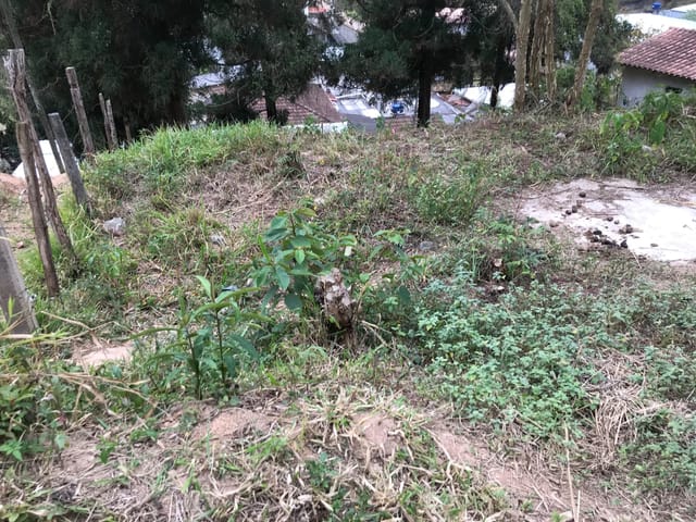 Foto do Terreno - Terreno à venda, Carangola, Petrópolis, RJ | Immobile Administradora de Bens