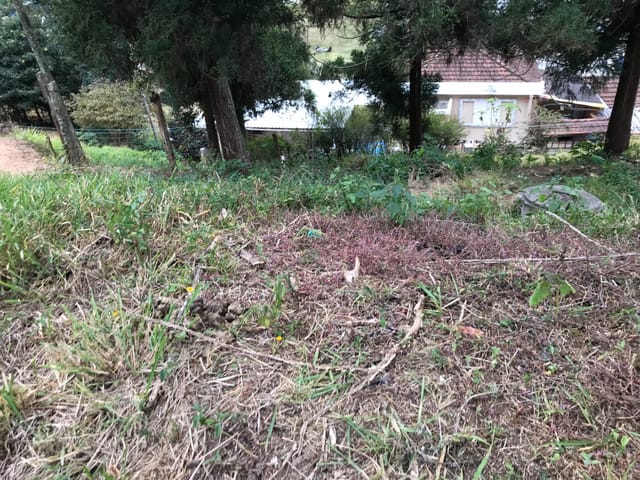 Foto do Terreno - Terreno à venda, Carangola, Petrópolis, RJ | Immobile Administradora de Bens