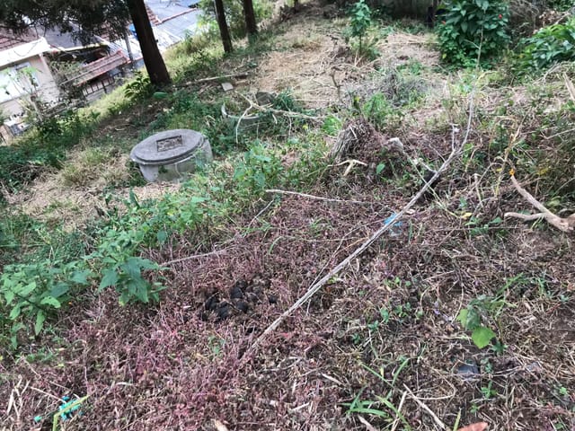 Foto do Terreno - Terreno à venda, Carangola, Petrópolis, RJ | Immobile Administradora de Bens
