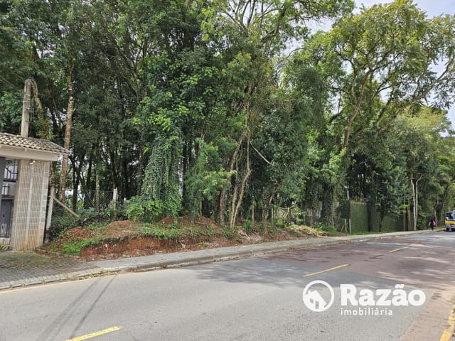 Terreno à venda, no bairro Santa Felicidade em Curitiba