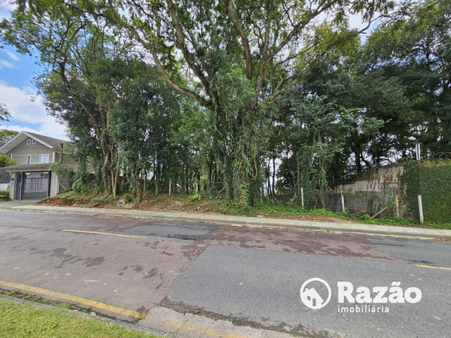 Terreno à venda, no bairro Santa Felicidade em Curitiba