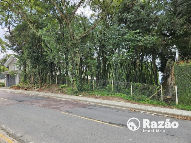 Terreno à venda, no bairro Santa Felicidade em Curitiba