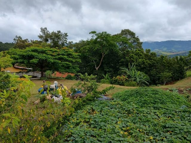 Terreno com 2000m², à venda, no bairro Ponte Alta em Extrema