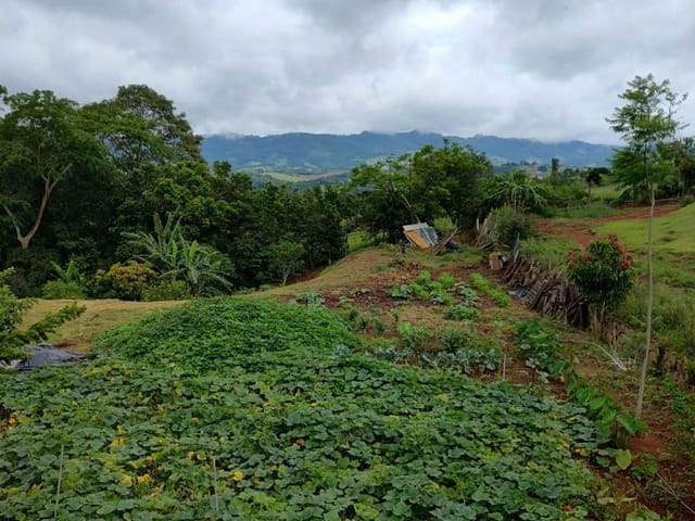 Terreno com 2000m², à venda, no bairro Ponte Alta em Extrema