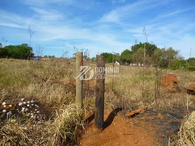 Terreno com 5000m², à venda, no bairro Recanto Das Flores em Uberaba