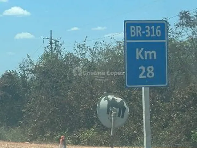 Terreno com 23000m², à venda, no bairro BR- 316 em Teresina