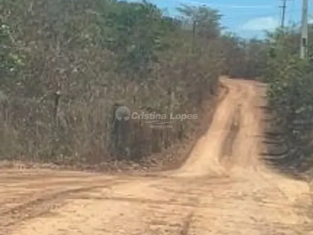 Terreno com 23000m², à venda, no bairro BR- 316 em Teresina