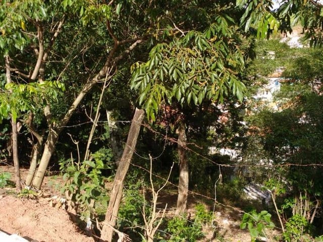 Foto do Terreno - Terreno residencial à venda, Açude, Itajubá. | MOHALLEM e LOPES CORRETAGEM E ADMINISTRACAO DE IMOVEIS LTDA