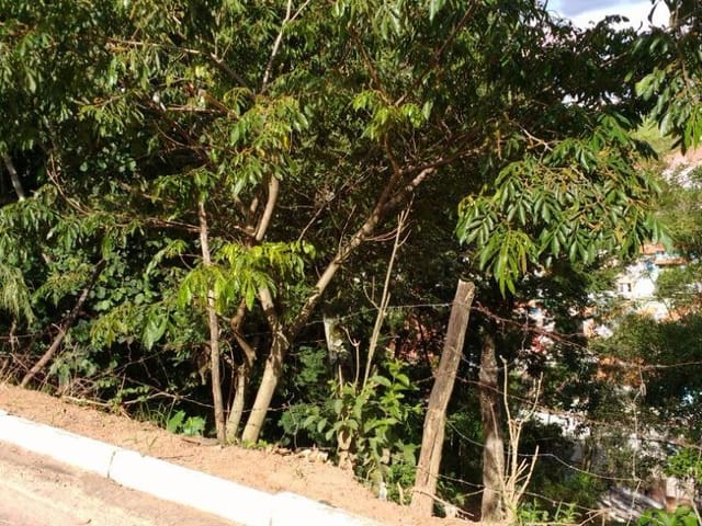 Foto do Terreno - Terreno residencial à venda, Açude, Itajubá. | MOHALLEM e LOPES CORRETAGEM E ADMINISTRACAO DE IMOVEIS LTDA