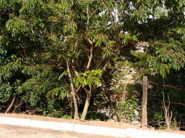 Foto do Terreno - Terreno residencial à venda, Açude, Itajubá. | MOHALLEM e LOPES CORRETAGEM E ADMINISTRACAO DE IMOVEIS LTDA