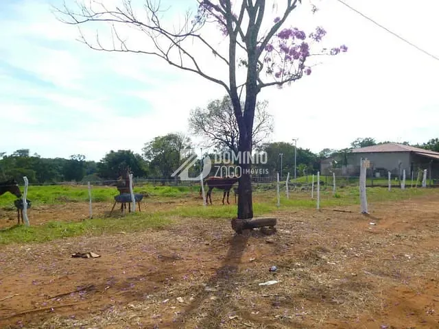 Terreno com 1000m², à venda, no bairro Recanto Das Flores em Uberaba