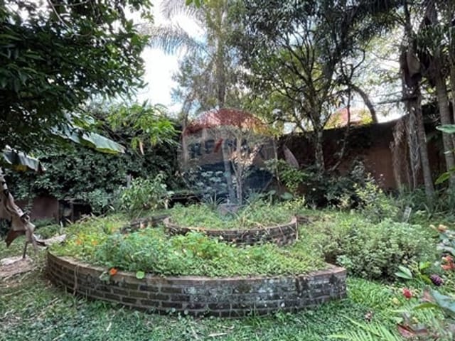 Foto do Terreno - Terreno residencial para venda em Pinus Park, 459m² | Lares e Andares Imóveis