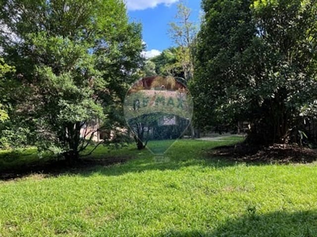 Foto do Terreno - Terreno residencial para venda em Pinus Park, 459m² | Lares e Andares Imóveis