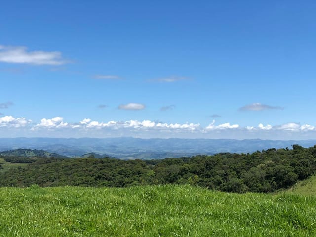 Terreno com 9000m², à venda, no bairro Bueno Brandão  em Bueno Brandão