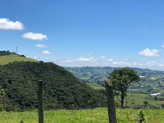 Terreno com 9000m², à venda, no bairro Bueno Brandão  em Bueno Brandão
