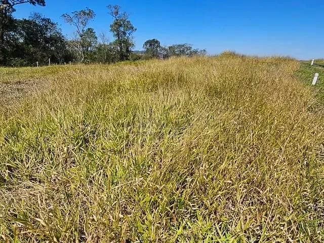 Terreno com 301m², à venda, no bairro Santo Cruzeiro em Piracaia
