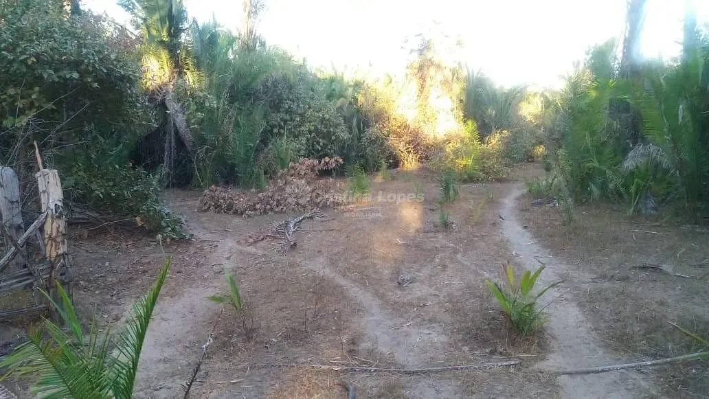 Terreno, 21 hectares - Foto 3