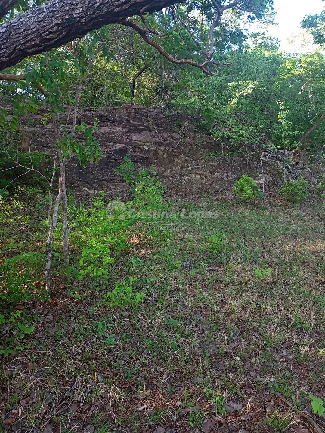 Terreno, 21 hectares - Foto 2