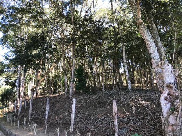 Terreno com 1555m², à venda, no bairro Cuiabá em Petrópolis