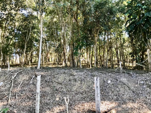 Terreno com 1555m², à venda, no bairro Cuiabá em Petrópolis