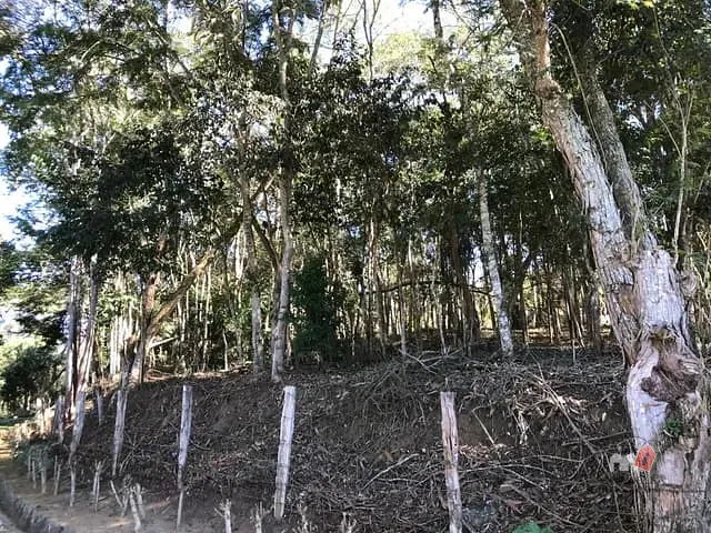 Terreno com 1555m², à venda, no bairro Cuiabá em Petrópolis