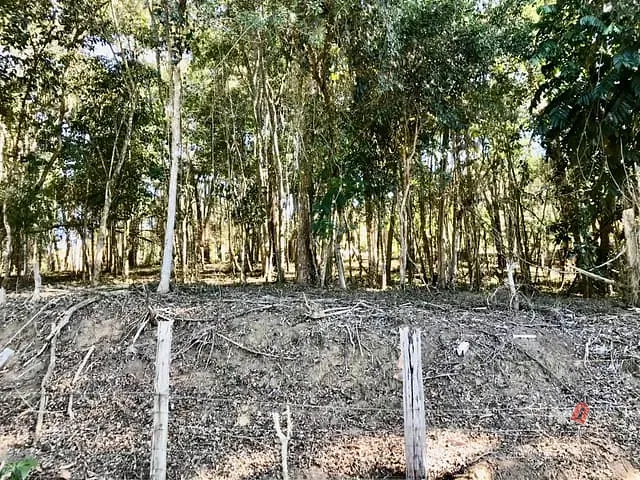 Terreno com 1555m², à venda, no bairro Cuiabá em Petrópolis