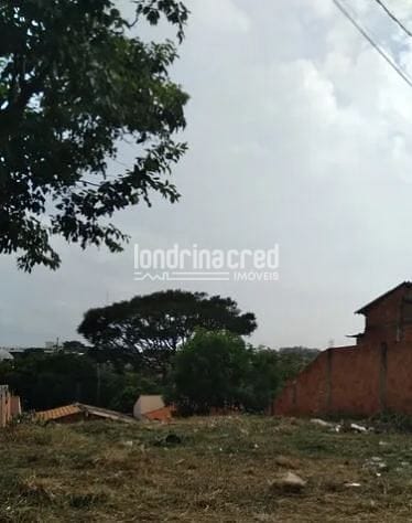 Terreno, 250 m² - Foto 1