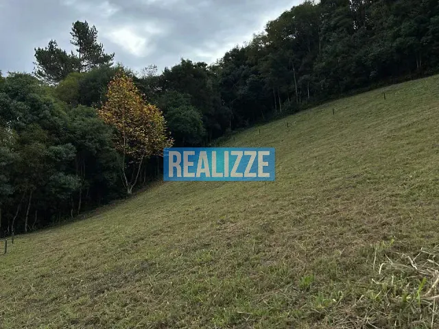 Terreno com 23000m², à venda, no bairro Comunidade São Caetano em Marau