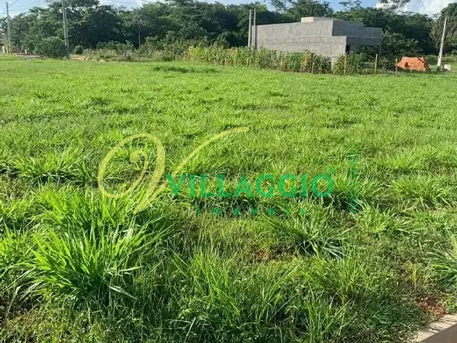 Terreno com 200m², à venda, no bairro Zona Rural em Palestina
