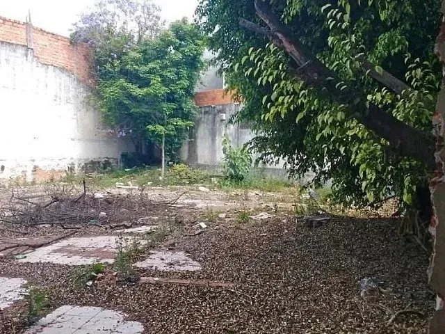 Terreno com 600m², à venda, no bairro Vila Alzira em Santo André