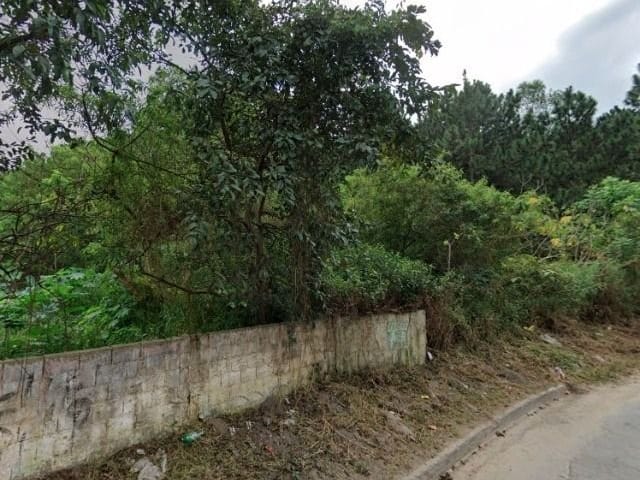 Terreno com 8090m², à venda, no bairro Jardim do Rio Cotia em Cotia
