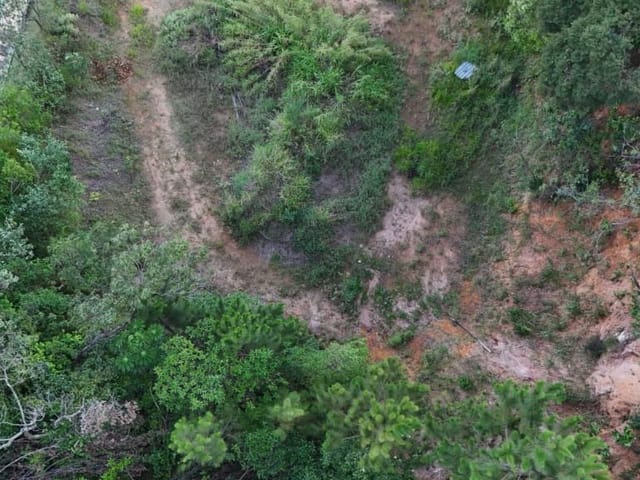 Terreno com 17321m², à venda, no bairro Chácara Lagoa Branca em Campo Limpo Paulista