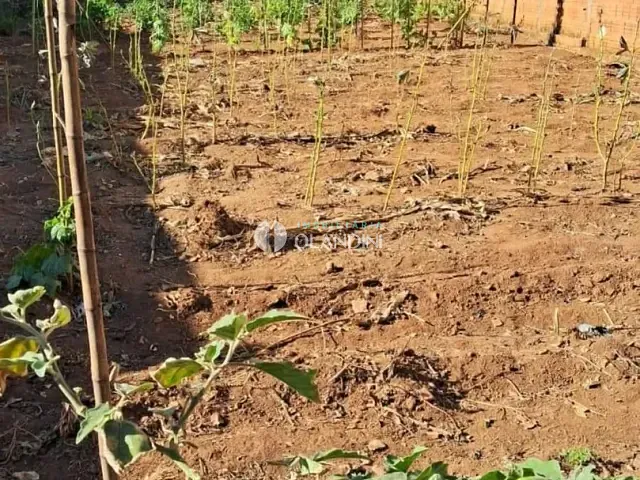 Terreno com 303m², à venda, no bairro Parque das Paineiras em Artur Nogueira