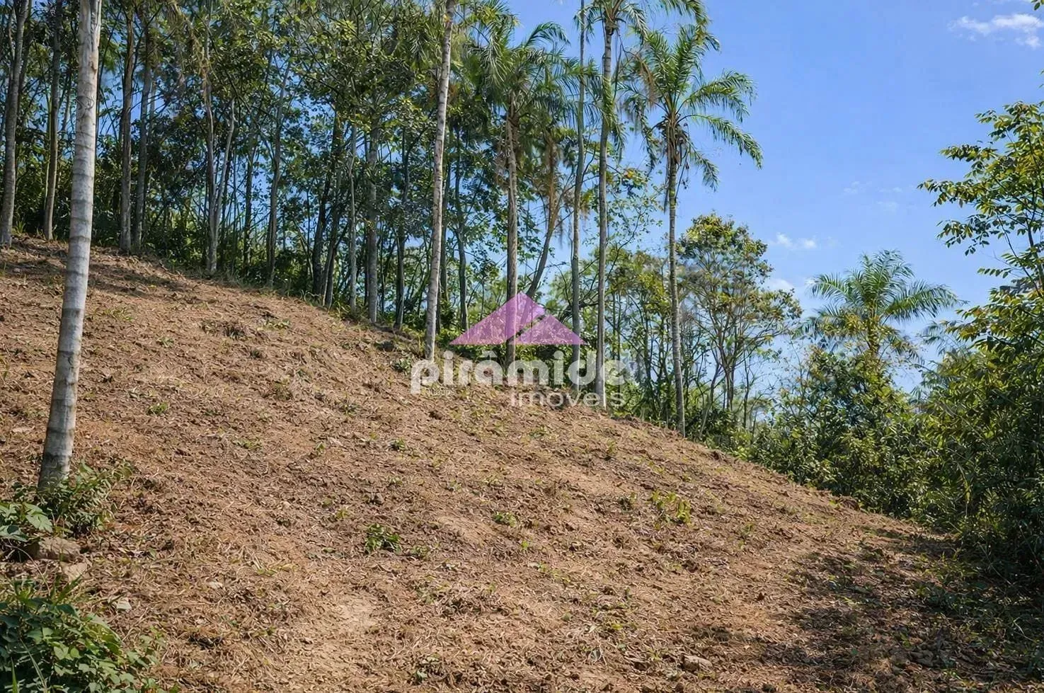 Terreno, 894 m² - Foto 4