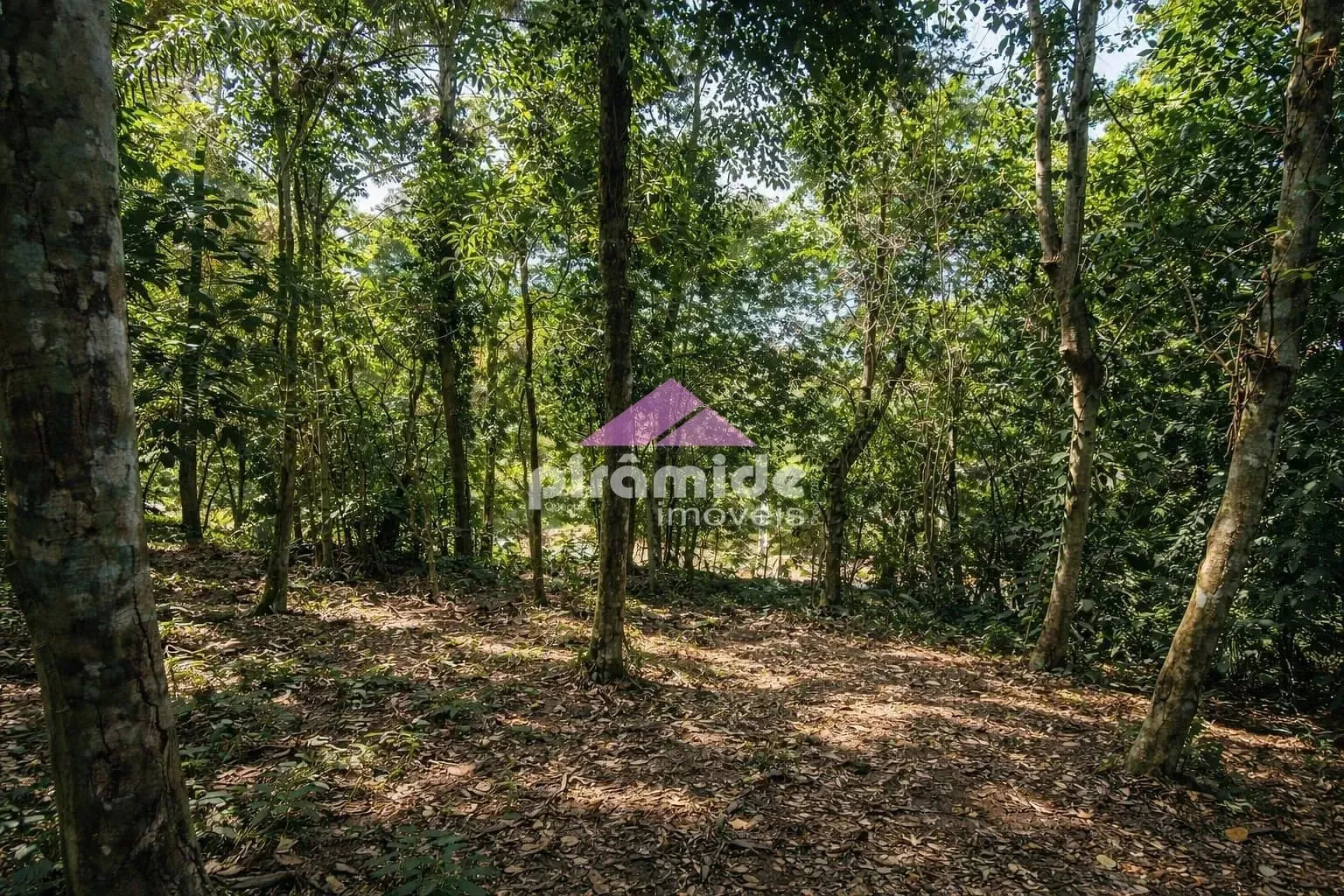 Terreno, 894 m² - Foto 6