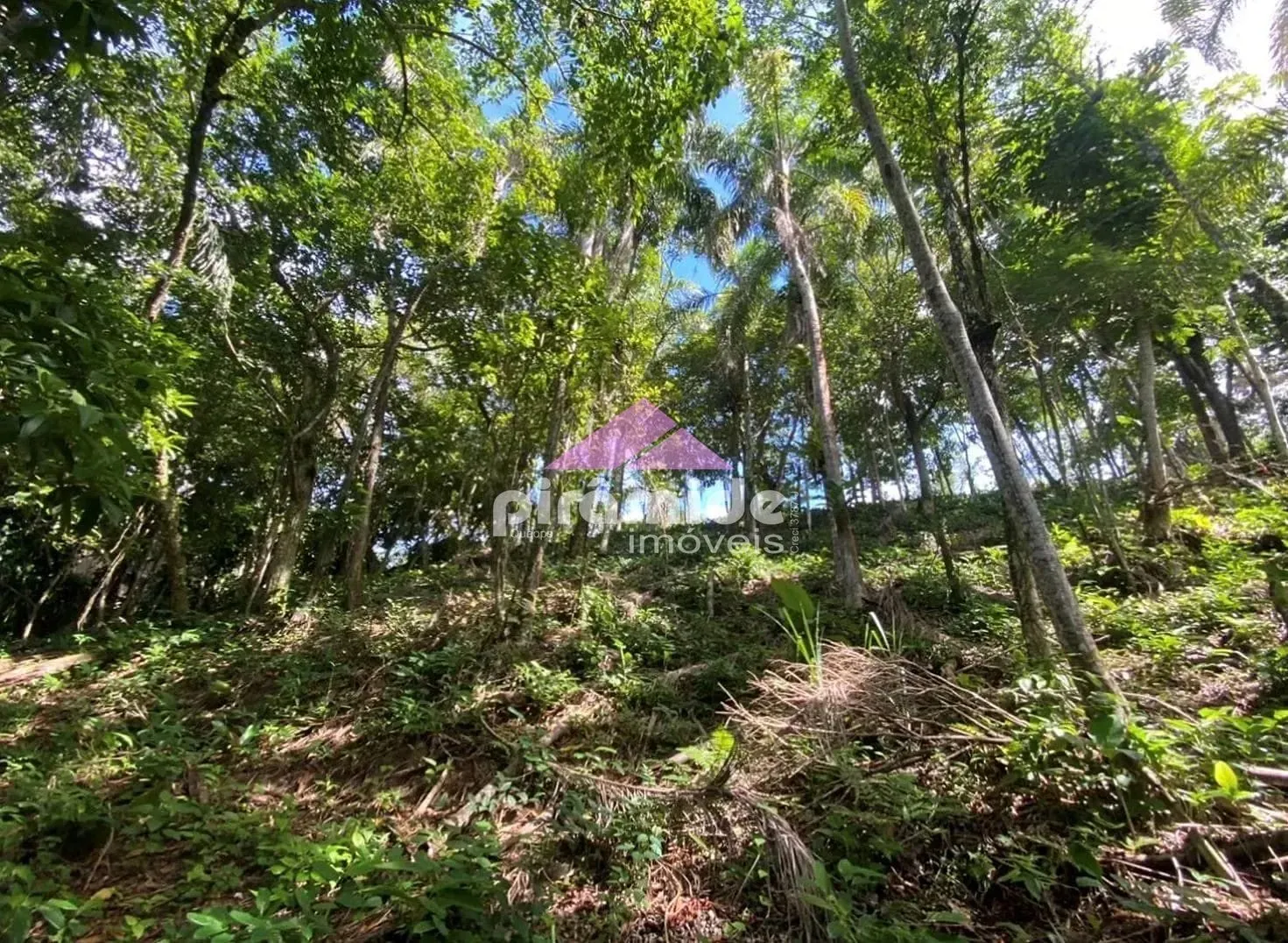 Terreno, 894 m² - Foto 5