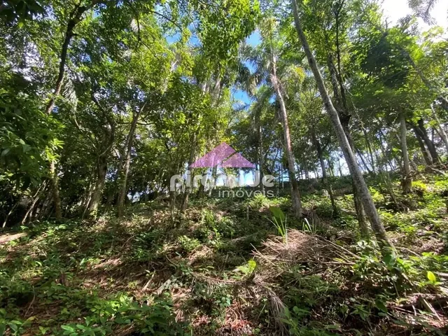 Terreno com 894m², à venda, no bairro Cigarras em São Sebastião