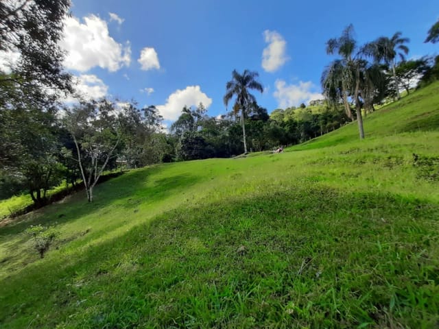 Terreno com 15000m², à venda, no bairro Bairro Dos Fonsecas em Cambuí