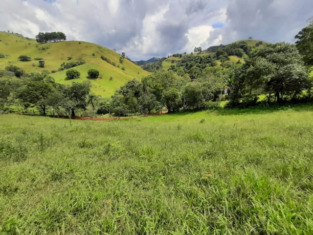 Terreno com 15000m², à venda, no bairro Bairro Dos Fonsecas em Cambuí