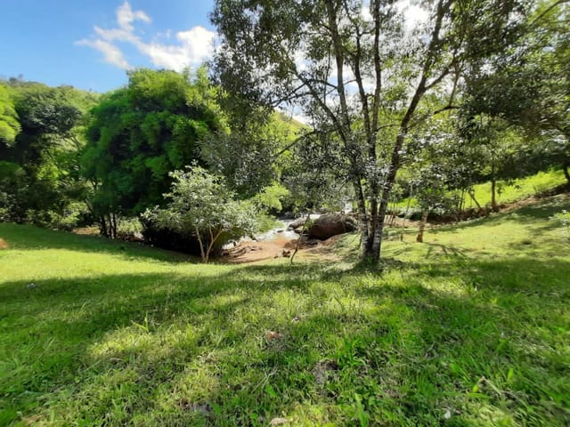 Terreno com 15000m², à venda, no bairro Bairro Dos Fonsecas em Cambuí