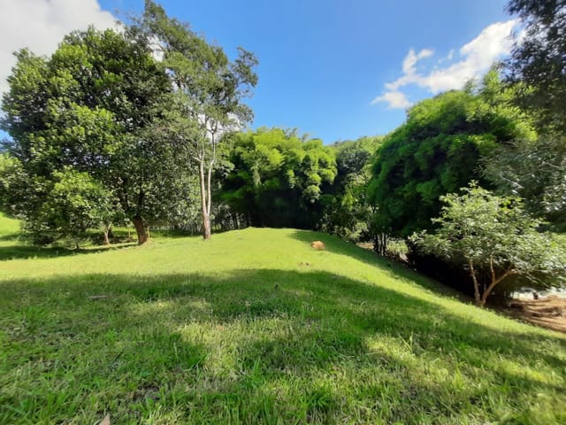 Terreno com 15000m², à venda, no bairro Bairro Dos Fonsecas em Cambuí