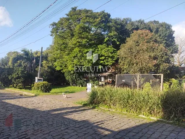 Terreno com 1517m², à venda, no bairro Centro em Arroio Do Meio