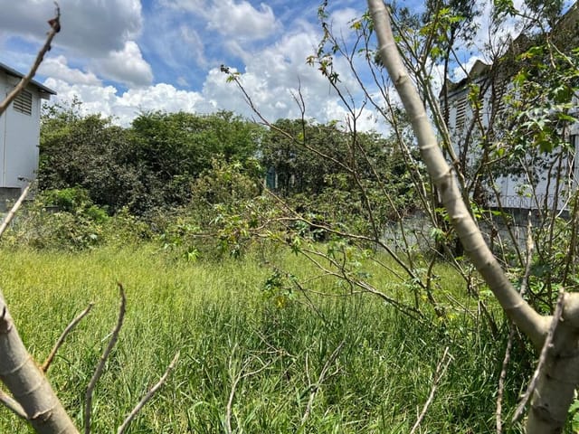 Terreno com 719m², à venda, no bairro Jardim Nina (Fazendinha) em Santana de Parnaíba