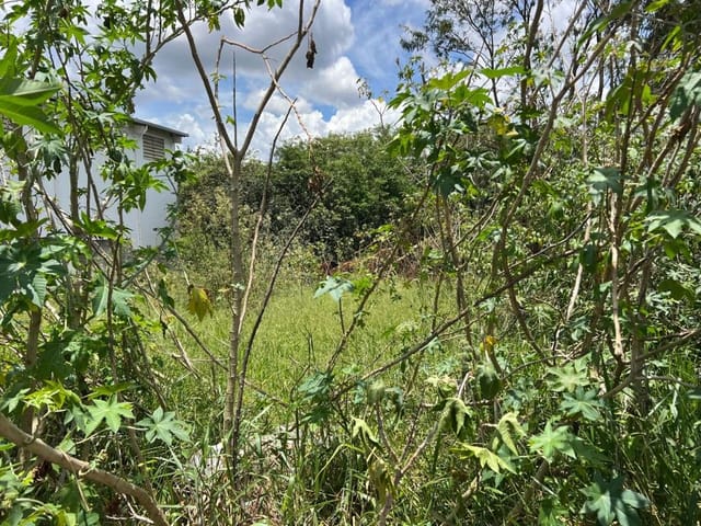 Terreno com 719m², à venda, no bairro Jardim Nina (Fazendinha) em Santana de Parnaíba