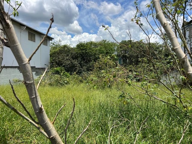 Terreno com 719m², à venda, no bairro Jardim Nina (Fazendinha) em Santana de Parnaíba